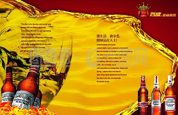 尊享奢華 碼見未來 高端啤酒品牌數字視覺與軟件開發融合之道